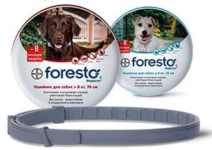 קולר פורסטו מסייע בהגנה על כלבים מפני פרעושים וקרציות.