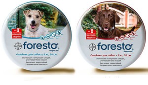 פורסטו - קולרי פרעושים לכלבים