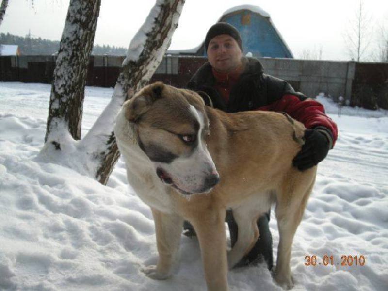 תיאור הגזע האסייתי