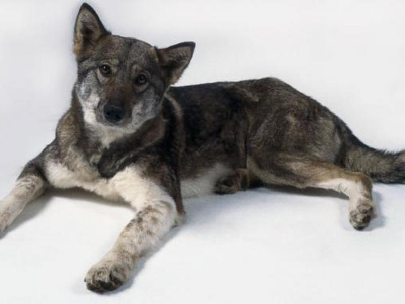 תוכן של דברים דומים