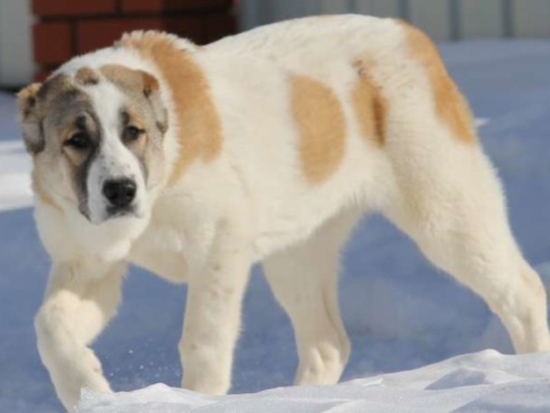 אלבאי בוגר בתצלום רחוב אלבאי בטיול בחורף