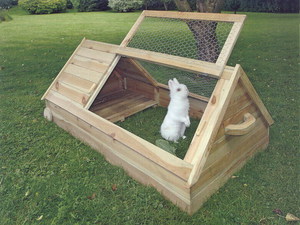 תנאים לגידול ארנבות