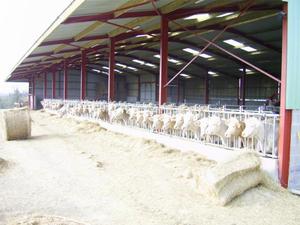 כללי פיתוח עסקי