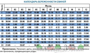 המלטת חזירים - טבלה מפורטת.