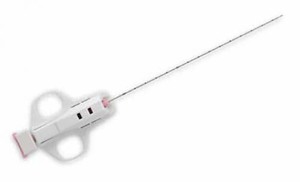 ביופסיה של חזירות בהריון ביופסיה של זרע - למה זה הכרחי?