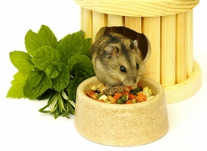 איך לטפל באוגרים