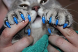 כמה זמן מחזיקות כפפות גירוד? תכונות של שימוש בכפפות נגד שריטות