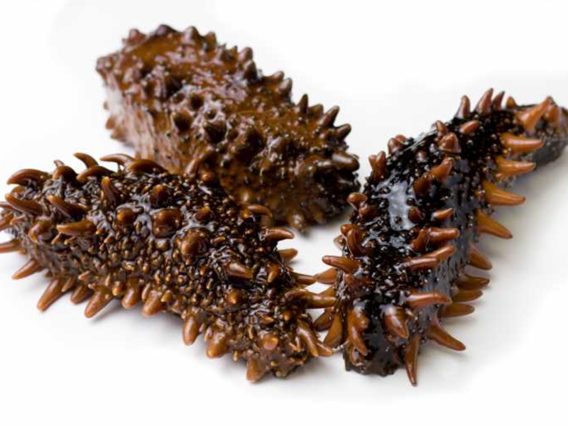 טרפאנג הוא יצור ים מלפפון ים