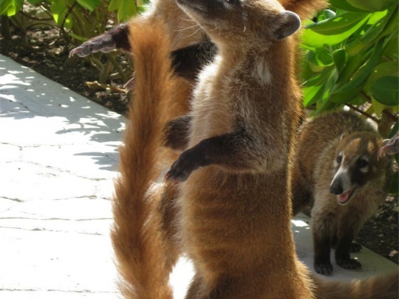 התזונה אינה יבשה