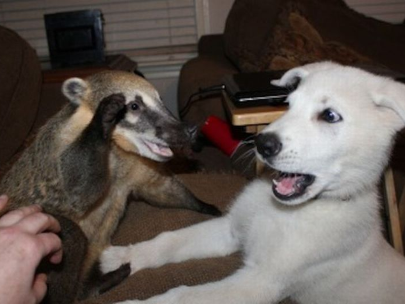 אויבים אינם יבשים