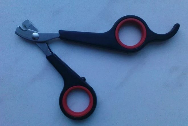 קוצץ ציפורניים מספריים לכלבים