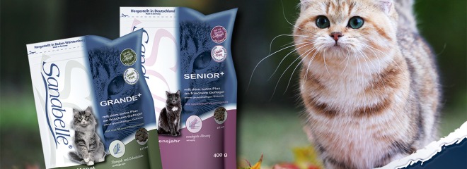 מזון לחתולים סנאבלה לחתולים בכל הגילאים