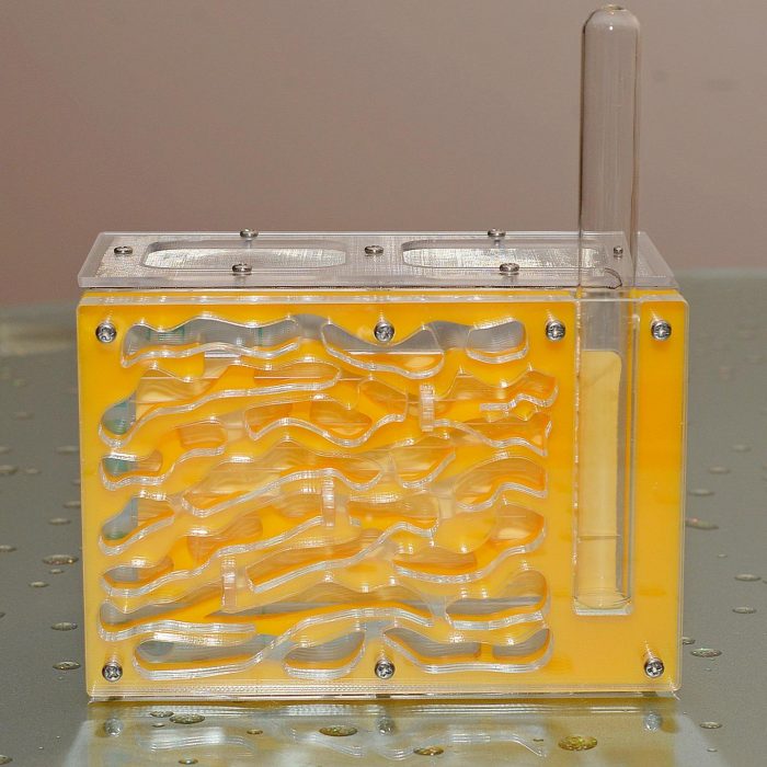 חוות נמלים אקרילית