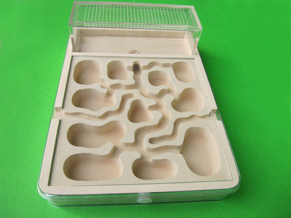 חוות נמלים אופקית