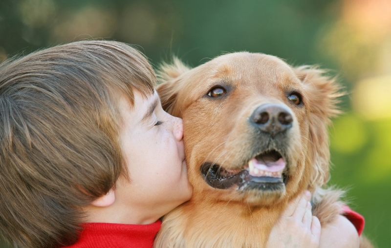 איך לשכנע את ההורים שלך לקנות לך כלב: טיפים מעשיים