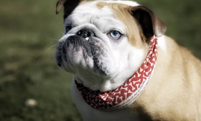 נעלב או מתחשב?