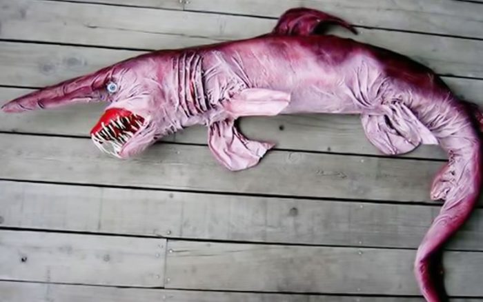 כריש גובלין