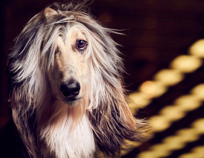 אני עוקב אחריך מקרוב!