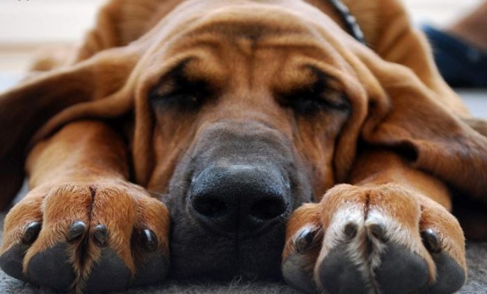 אתה חושב שאני ישן? לא, אני מרגיש אותך.