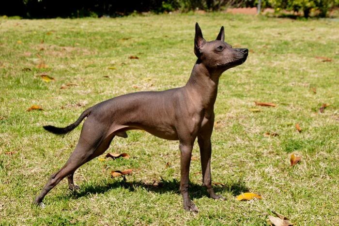 קסולייצקוינטלה ברחוב