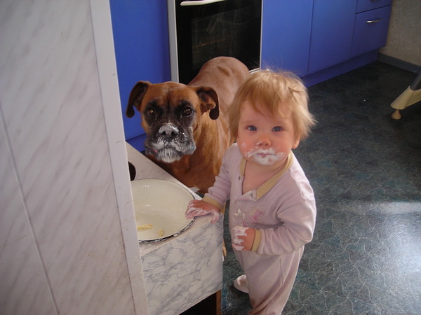 מתאגרף וילד