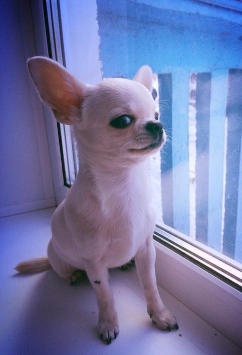 זהירות מעל הכל