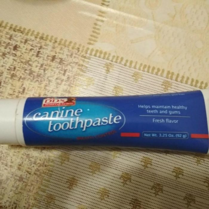 משחת שיניים לכלבים