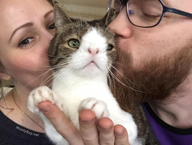 מונטי החתול, שאין לו עצם באף.