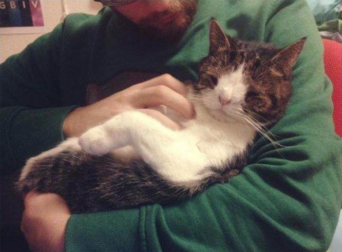 מונטי החתול, שאין לו עצם באף.