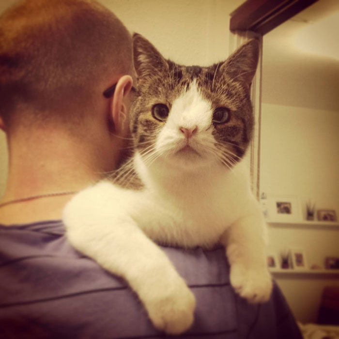 מונטי החתול, שאין לו עצם באף.