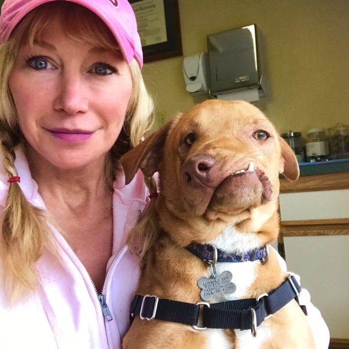 כלב עם לסת עקומה