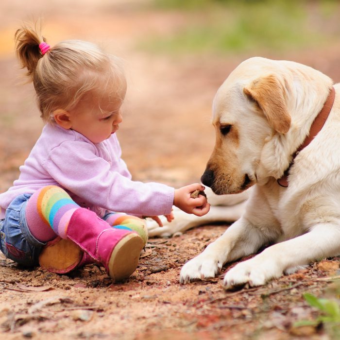 חברות בין חיות לילדים