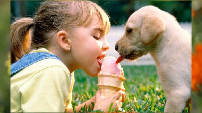 חברות בין חיות לילדים