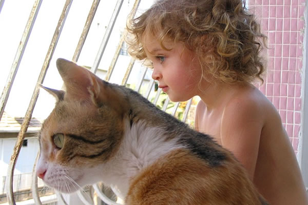 חברות בין חיות לילדים