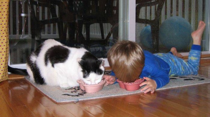 חברות בין חיות לילדים