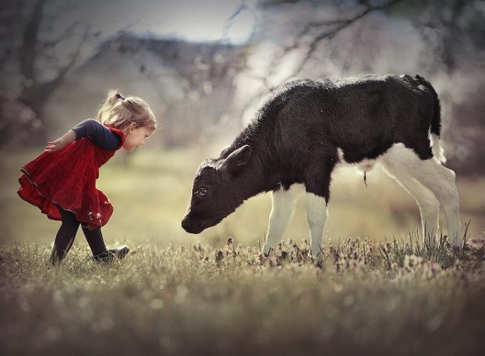 חברות בין חיות לילדים