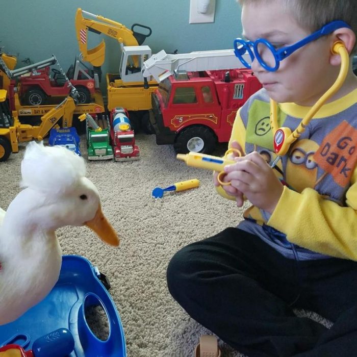 חברות בין חיות לילדים