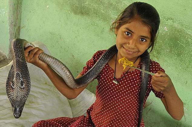 חברות בין חיות לילדים