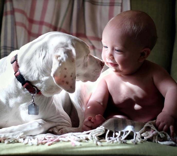 חברות בין חיות לילדים