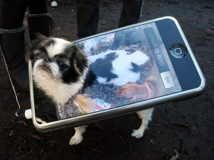 כלב מחופש לסמארטפון