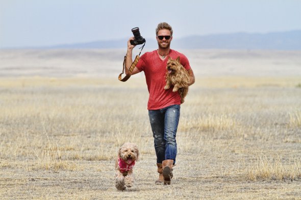 איך לצלם כלבים