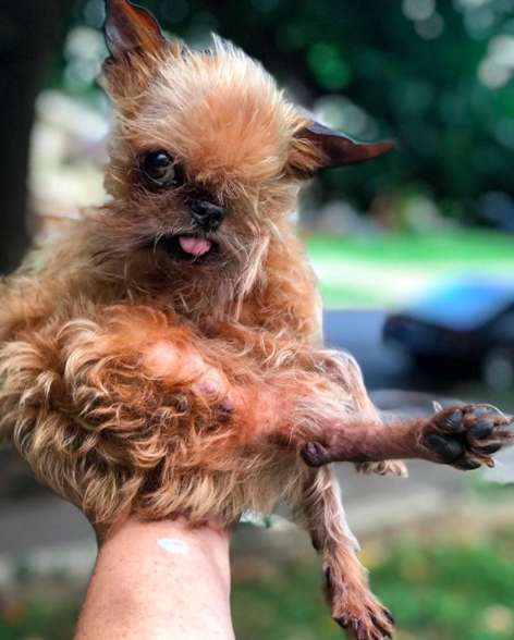 מיפלי נוסעת עם משפחתה