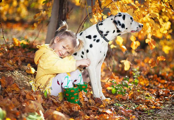 רעיונות לצילומי סתיו עם חיות מחמד