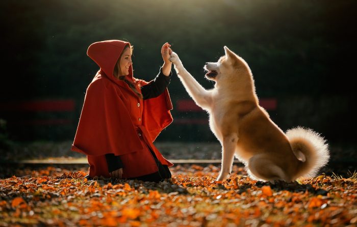 צילומי סתיו עם חיות מחמד