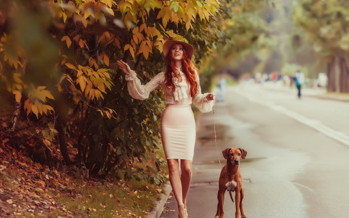 צילומי סתיו עם חיות מחמד