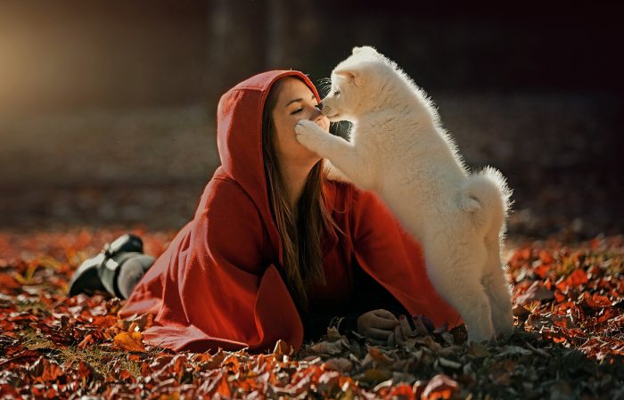 צילומי סתיו עם חיות מחמד