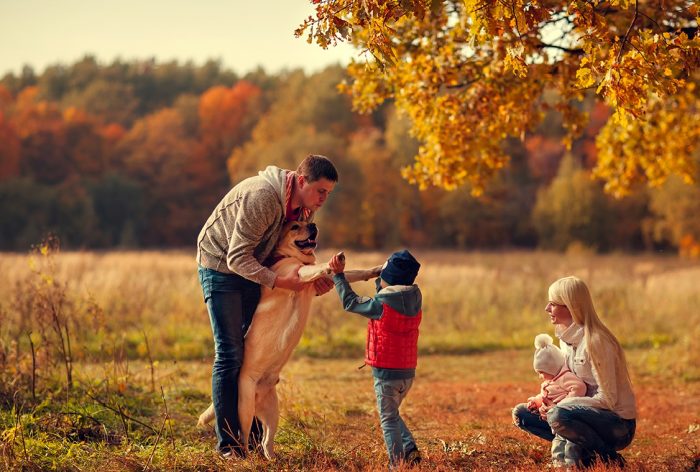 צילומי סתיו עם חיות מחמד