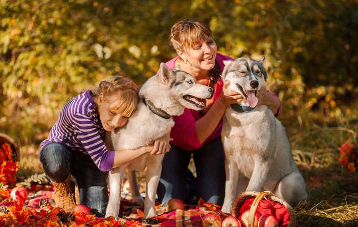 צילומי סתיו עם חיות מחמד