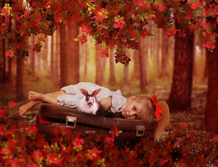 צילומי סתיו עם חיות מחמד