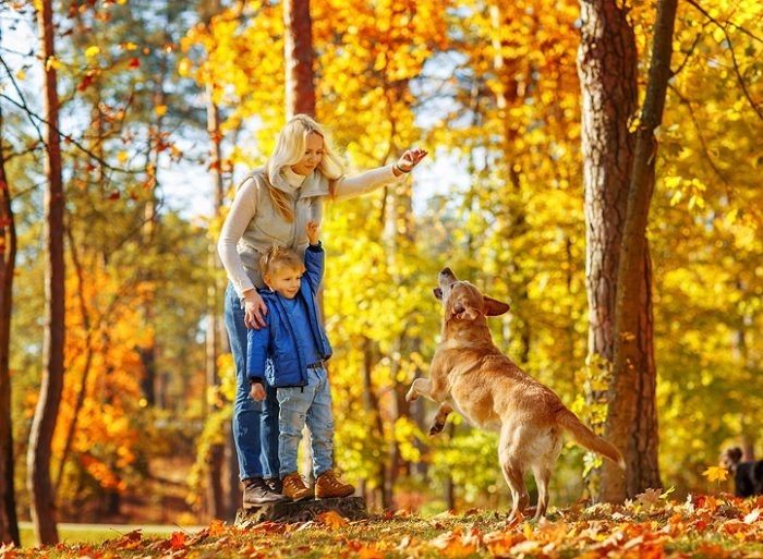 צילומי סתיו עם חיות מחמד